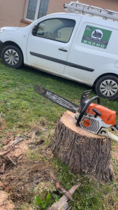 Photo de galerie - Coupe 