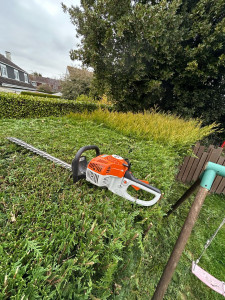 Photo de galerie - Taille de haie 