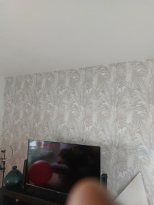 Photo de galerie - Papier peint poser efficacement voisin satisfait.