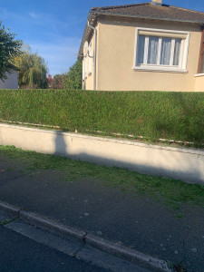 Photo de galerie - Jardinier