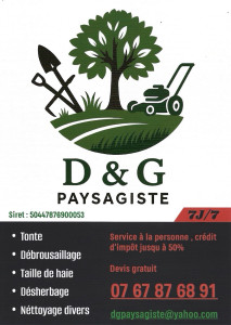 Photo de galerie - Tonte de pelouse - Débroussaillage