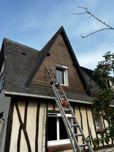 Photo de galerie - Peinture - Tapisserie