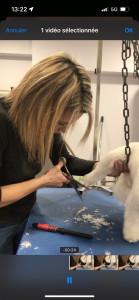 Photo de galerie - Toilettage