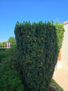 Photo de galerie - Avant