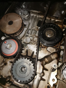 Photo de galerie - Distribution 