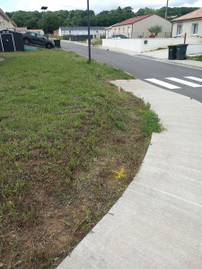 Photo de galerie - Clôture Grillage