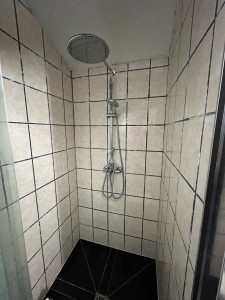 Photo de galerie - Pommeau de douche, faïence et joints