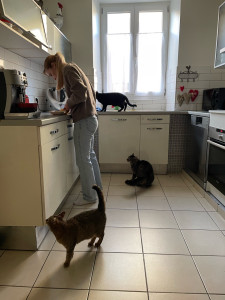 Photo de galerie - Ayant 3 chats et un lapin, je serai ravie de pouvoir garder vos animaux et faire au mieux pour leur bonheur. J'ai l'habitude de garder des chiens ainsi que des chats, je suis très proche des animaux.