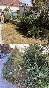 Photo de galerie - Tonte de pelouse et désherbage de mauvaise herbe