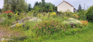 Photo de galerie - Entretiens des jardins