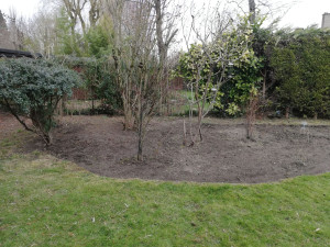 Photo de galerie - Paysagiste - Aménagement du jardin