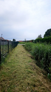 Photo de galerie - Débroussaillage 