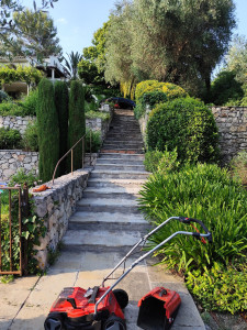 Photo de galerie - Entretien de jardin 