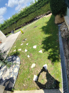 Photo de galerie - Tonte de pelouse - Débroussaillage