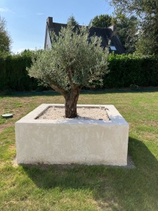 Photo de galerie - Paysagiste - Aménagement du jardin