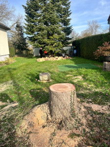 Photo de galerie - Abattage et rangement du bois. 