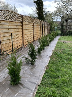 Photo de galerie - Jardinier