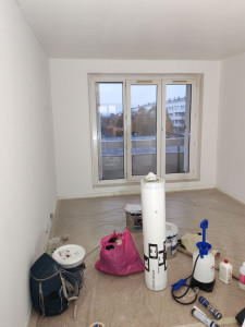 Photo de galerie - Travaux de préparation des supports enduit et pose la toile de verre finition peinture murs et portes.