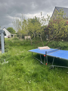 Photo de galerie - Tonte de pelouse - Débroussaillage