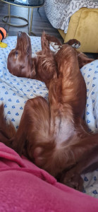 Photo de galerie - Je suis décontracté..