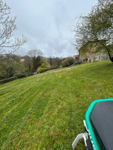 Photo de galerie - Tonte de jardin 