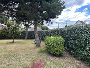 Photo de galerie - Taille de haie à BARNEVILLE CARTERET