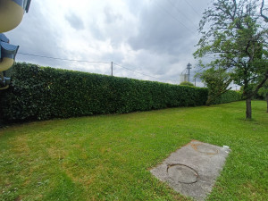 Photo de galerie - Taille de haies et d'arbustes