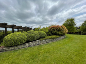 Photo de galerie - Taille de haies et d'arbustes