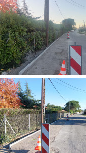 Photo de galerie - Rabattage d'une haie de Laurine 