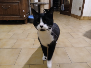 Photo de galerie - Un de mes loulous lors de sa garde.