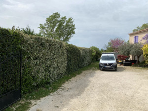 Photo de galerie - .