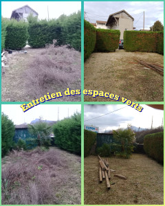 Photo de galerie - Remise au propre de ce jardin ainsi que la taille des haies de cyprès