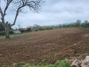 Photo de galerie - Préparation d’un terrain prêt à engazonner 