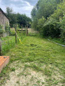 Photo de galerie - Tonte de pelouse - Débroussaillage