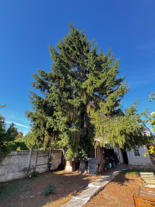 Photo de galerie - AVANT        