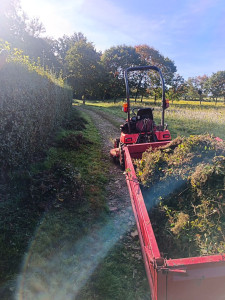 Photo de galerie - Taille et ramassage 