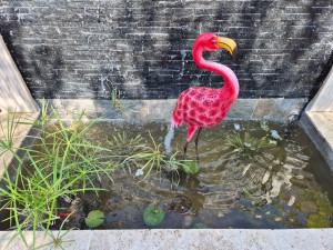 Photo de galerie - Paysagiste - Aménagement du jardin