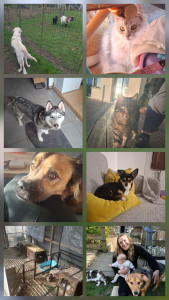 Photo de galerie - Quelques souvenirs de garde (novembre 2025 à février 2026)