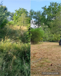 Photo de galerie - Debroussaillage d'un terrain de 2000m²