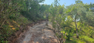 Photo de galerie - Terrassement d’un sentier dans une talus 