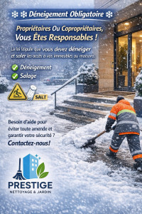 Photo de galerie - Déneigement Obligatoire 