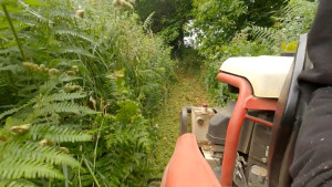 Photo de galerie - Tonte de pelouse - Débroussaillage