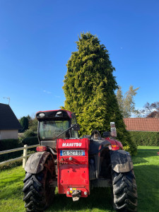Photo de galerie - Elagage et coupe d'arbres