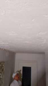 Photo de galerie - Plafond abîmé 