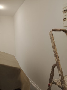 Photo de galerie - Bonjour 