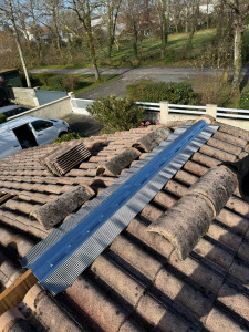 Photo de galerie - Remplacement de closoir rigide en zinc