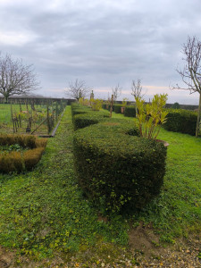 Photo de galerie - Taille de haies