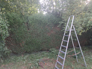 Photo de galerie - Avant 