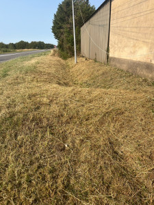 Photo de galerie - Broyage de rejet, ronces et hautes herbe à la débroussailleuse 