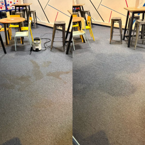 Photo de galerie - Nettoyage de cette moquette chez Rollers